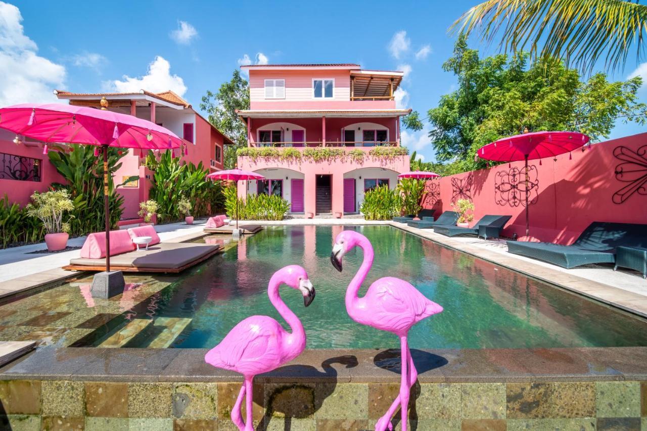 Hotel Pinkcoco Uluwatu - Constant Surprises & For Cool Adults Only Exteriér fotografie